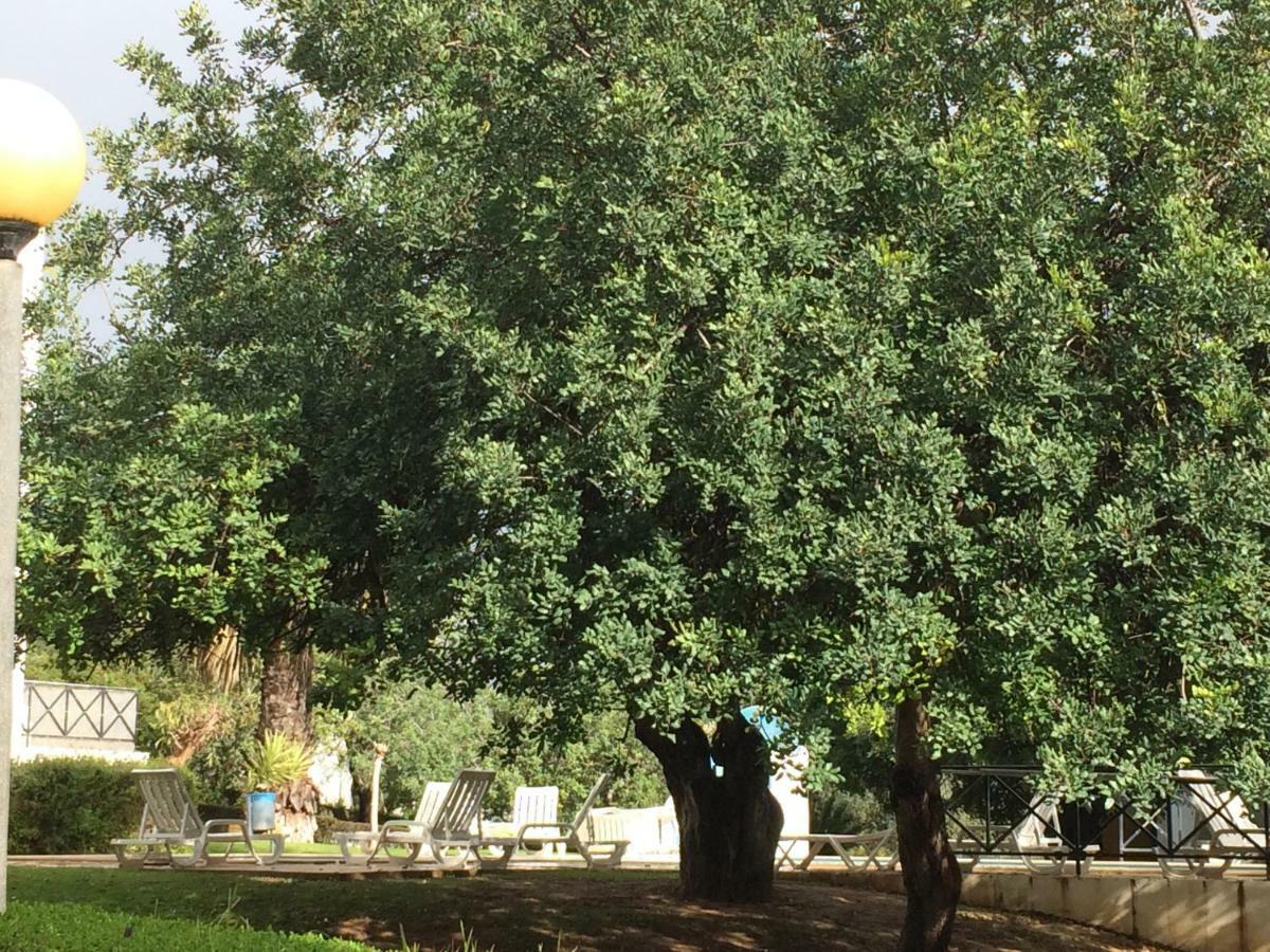 Tavira Garden T2-21 R/C J Daire Dış mekan fotoğraf